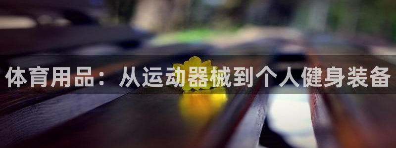 熊猫体育娱乐下载：体育用品：从运动器械到个人健身装备