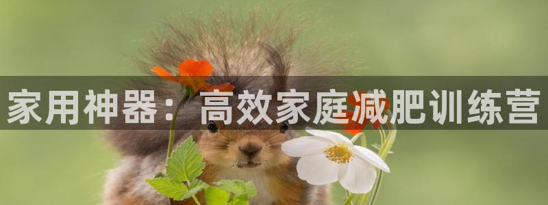 熊猫体育官网下载是干嘛的公司：家用神器：高效家庭减肥