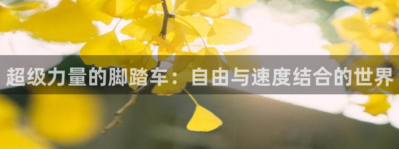 熊猫体育官网下载开户：超级力量的脚踏车：自由与速度结